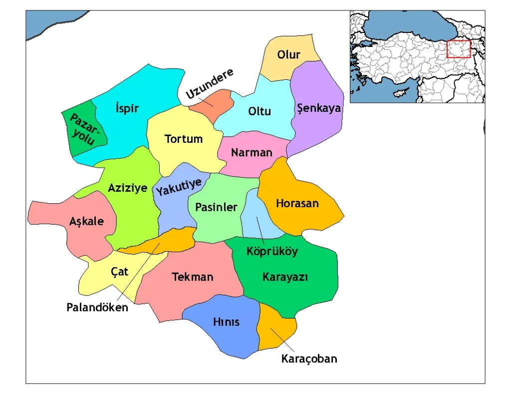 erzurum hijyen belgesi