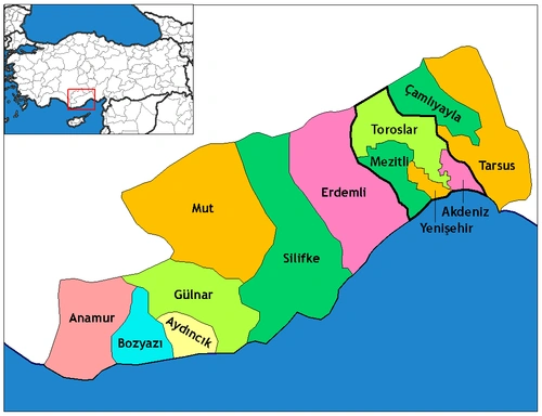 mersin hijyen belgesi